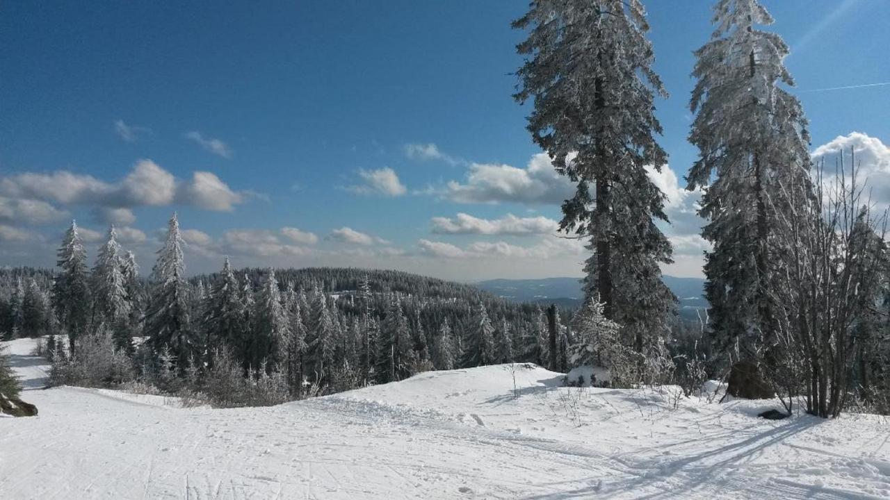Ferienpension Fremuth Ruhmannsfelden Экстерьер фото